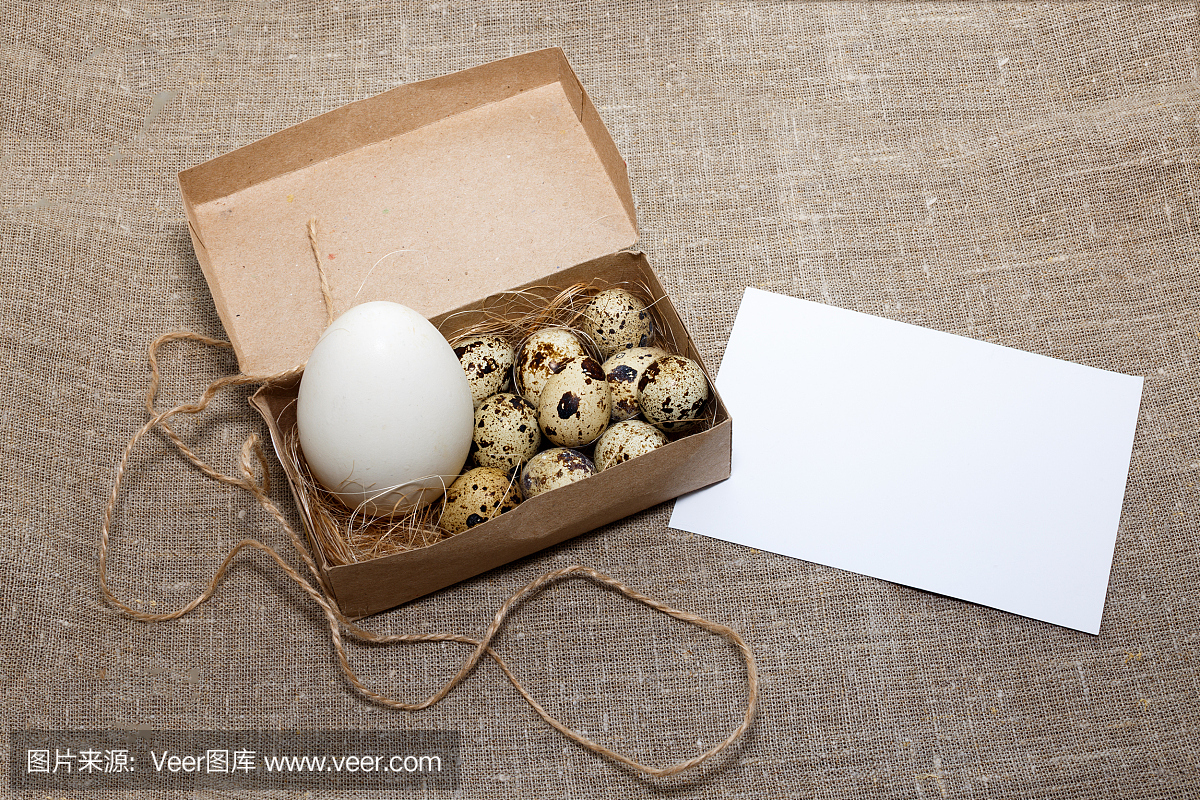 把鸡蛋放在盒子和卡片里