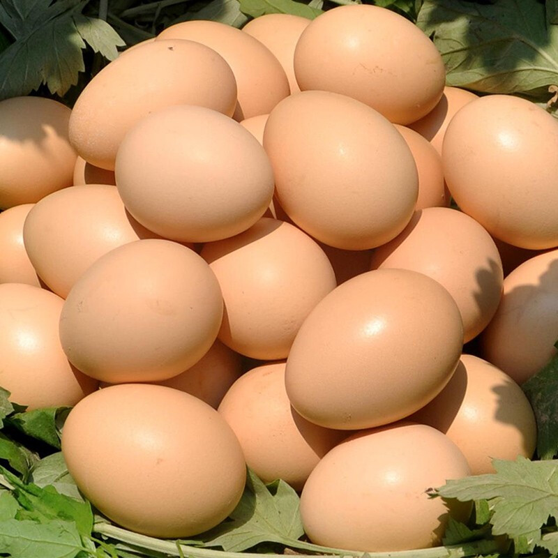 固伦天原【京喜新人领】农家现捡土鸡蛋鲜鸡蛋当日鲜蛋初生蛋 30枚装